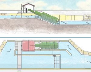 Hydropower Screws